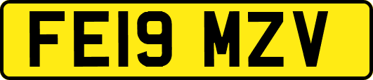 FE19MZV