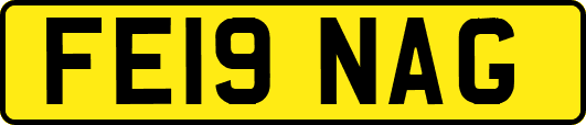 FE19NAG