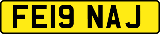 FE19NAJ