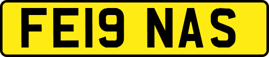 FE19NAS