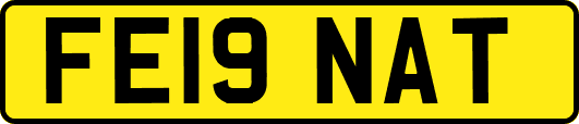 FE19NAT