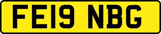 FE19NBG