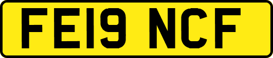 FE19NCF