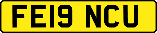 FE19NCU