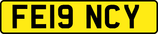 FE19NCY