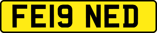 FE19NED