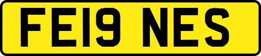 FE19NES