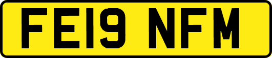 FE19NFM