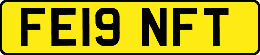 FE19NFT