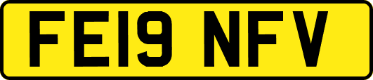 FE19NFV