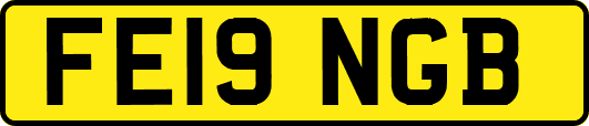 FE19NGB