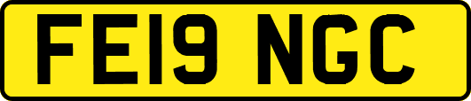FE19NGC