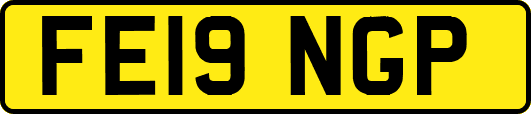 FE19NGP