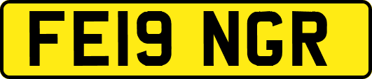 FE19NGR