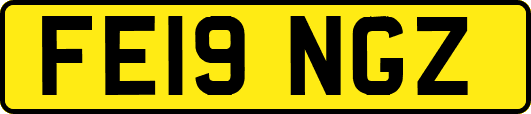 FE19NGZ