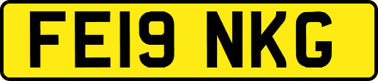 FE19NKG