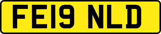 FE19NLD