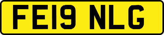 FE19NLG