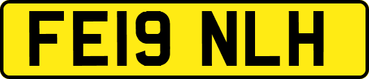 FE19NLH