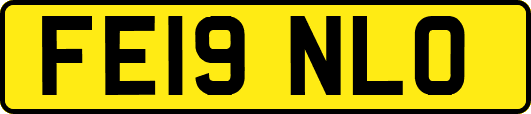 FE19NLO