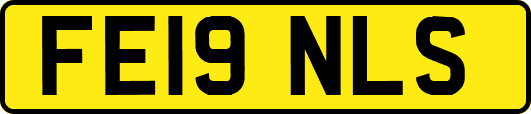 FE19NLS