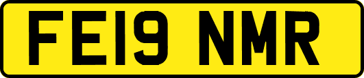 FE19NMR