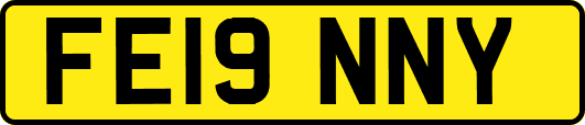 FE19NNY