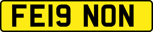 FE19NON