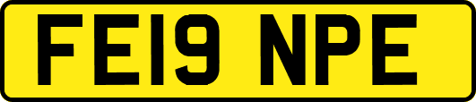FE19NPE