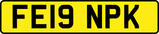 FE19NPK