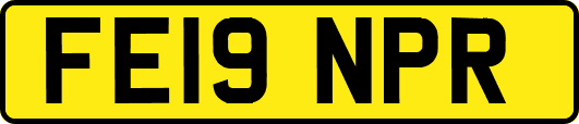 FE19NPR