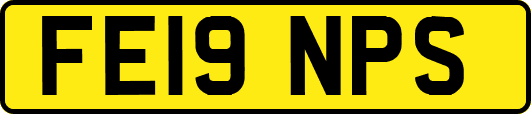 FE19NPS