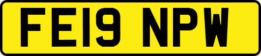 FE19NPW