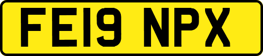 FE19NPX