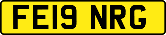 FE19NRG