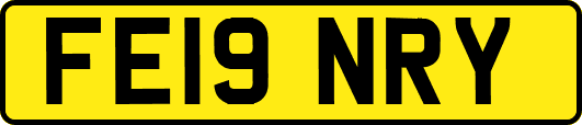 FE19NRY