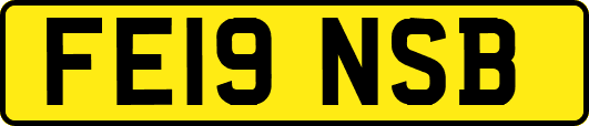 FE19NSB