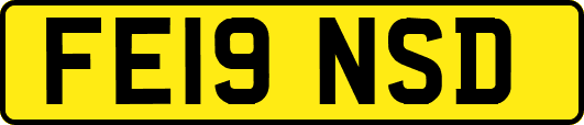 FE19NSD