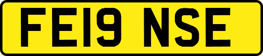 FE19NSE