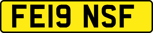 FE19NSF