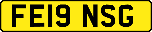 FE19NSG