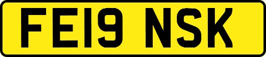 FE19NSK