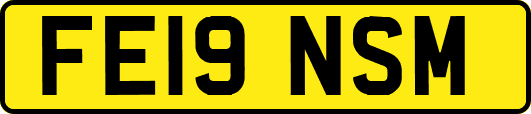 FE19NSM
