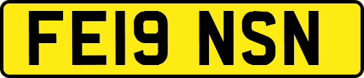 FE19NSN