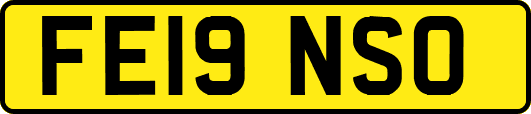 FE19NSO