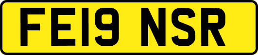 FE19NSR