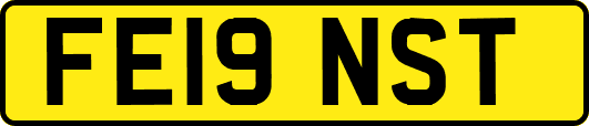 FE19NST