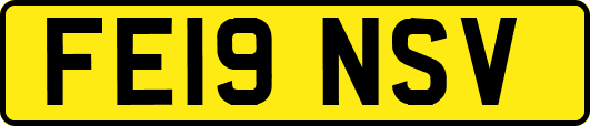 FE19NSV