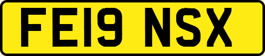 FE19NSX