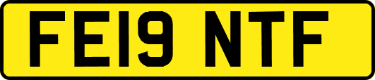 FE19NTF